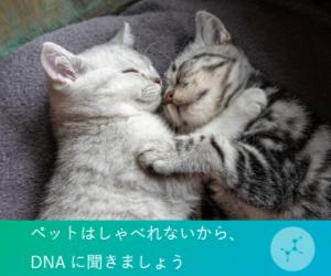 ねこちゃんは喋れないからDNAに聴きましょう!WEBで結果確認可能な猫遺伝子検査 【Pontely】