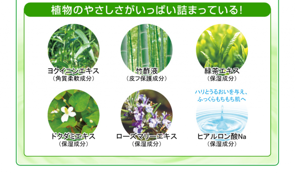 植物のやさしさがいっぱいつまってる！