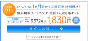 ブルーのバナー「まずはお試し！」をクリックします