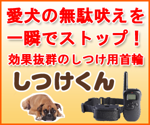 愛犬を短期間で簡単無駄吠え防止トレーニング【無駄吠え防止グッズのしつけくん】