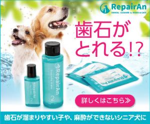 ペット業界で話題の製品。歯石が溜まりやすい犬に!その場で作る歯石対策歯磨き粉!