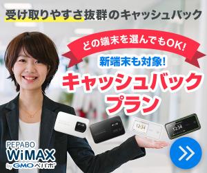 ペパボWiMAX