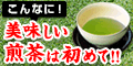 『静岡掛川産茶葉使用』【あきは茶園　深蒸し掛川茶】