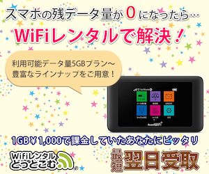日本国内専用WiFiレンタルなら【WiFiレンタルどっとこむ】