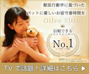 獣医監修ワンランク上のペットシッター【Olive Sitter(オリーブシッター)】