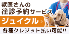 獣医さんの往診予約サービス「ジュイクル」