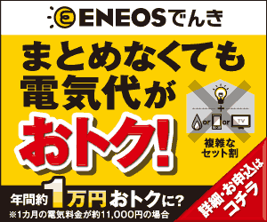 JXエネルギー「ENEOSでんき」