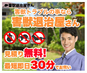 害獣トラブルなら・最短即日30分で無料出張見積もり【害獣退治屋さん】