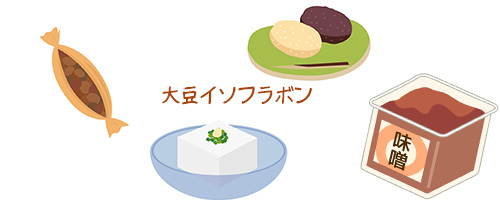 大豆イソフラボンを含む食品